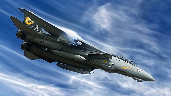 Jet Fighters, Grumman F-14 Tomcat, HD wallpaper HD wallpaper