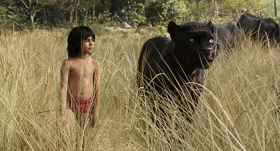 fantasy, Mowgli, Bagheera, The Jungle Book, Best movie of 2016, adventure, HD wallpaper HD wallpaper