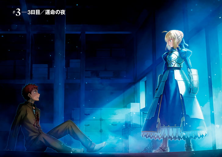 Fate Series, Fate / Stay Night, Saber (Fate Series), Shirou Emiya, HD tapet