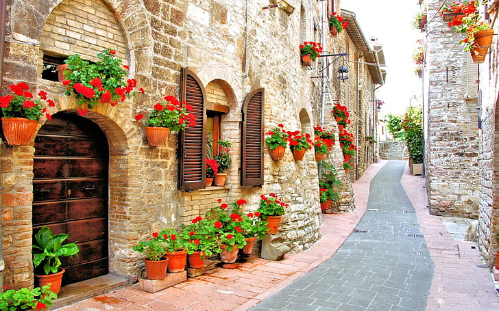 Italia, calle, casa, flores, camino, Italia, calle, casa, flores, camino, Fondo de pantalla HD