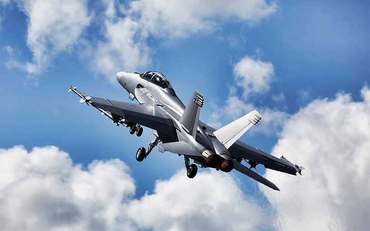 F18 Super Hornet-Military HD обои, серый самолет, HD обои