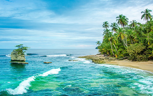 Kosta Rika Manzanillo Sandy Beach Okyanus Dalgaları Palmiye Ağaçları Vahşi Karayipler Plaj 2560 × 1600, HD masaüstü duvar kağıdı HD wallpaper