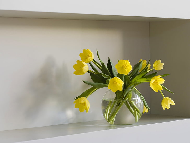 yellow petal flower, tulips, flowers, vase, wall, niche, HD wallpaper