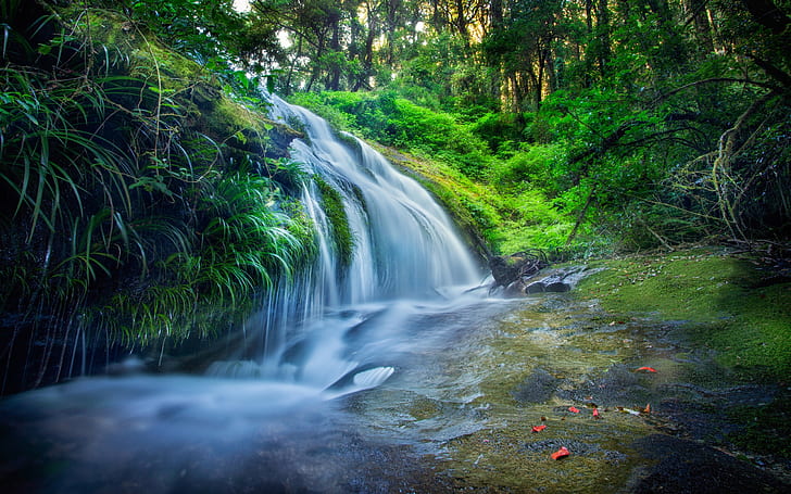 Thailand, Wald, Blätter, Wasserfälle, Bach, Bäume, Wasserfallmalerei, Thailand, Wald, Blätter, Wasserfälle, Bach, Bäume, HD-Hintergrundbild