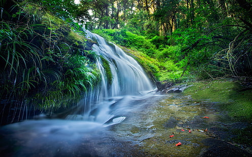 Thailand, Wald, Blätter, Wasserfälle, Bach, Bäume, Wasserfallmalerei, Thailand, Wald, Blätter, Wasserfälle, Bach, Bäume, HD-Hintergrundbild HD wallpaper