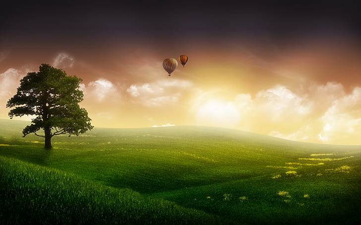 Doğa Balon Ride, yeşil çim tepe üzerinde 2 sıcak hava balonları, binmek, doğa, balon, HD masaüstü duvar kağıdı