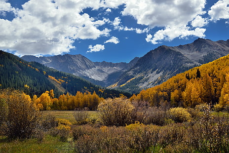 timelapse of mountain and clouds, Aspens, timelapse, mountain, Aspen, Blue Skies, Clouds, Capture, NX2, Edited, Castle Creek, Creek Road, Color, Pro  Day, Day 7, Elk Mountains, Evergreen, Grassy, Meadow, Hillside, Trees, South, Distance, Mountains, Nature, Nikon D800E, Portfolio, Star Peak, Taylor Peak, Yellow, Leaves, Colorado, United States, autumn, forest, landscape, tree, scenics, outdoors, beauty In Nature, mountain Range, sky, HD wallpaper HD wallpaper