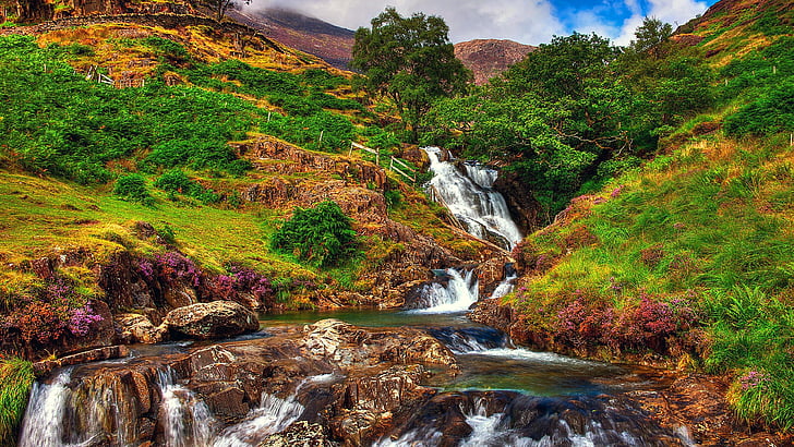 snowdon, landscape, europe, mountain, tree, united kingdom, wilderness, swallow falls, nature reserve, snowdonia national park, waterfall, body of water, national park, stream, nature, water, wales, north wales, HD wallpaper
