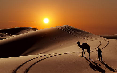 silueta de camello, sol, dunas, gente, desierto, camello, Fondo de pantalla HD HD wallpaper