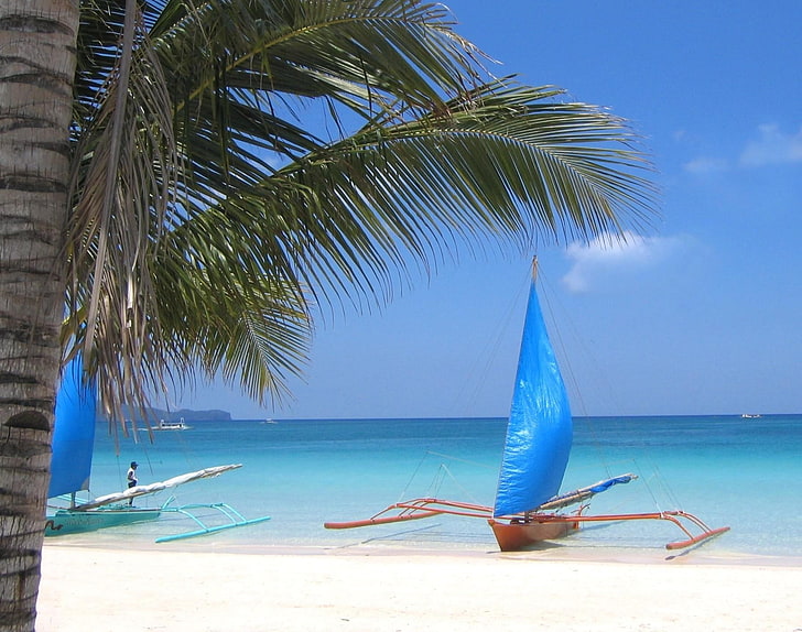 niebiesko-brązowa żaglówka, żagiel, łódka, wybrzeże, plaża, palma, osoba, Tapety HD