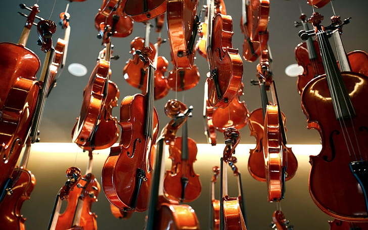 New Violins, violins, instruments, music instruments, HD wallpaper