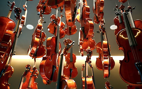 New Violins, violins, instruments, music instruments, HD wallpaper HD wallpaper