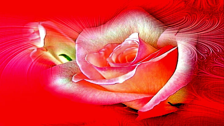 Heart's Of Love, gorgeous, roses, caring, cool, warm, loving, sweet, romances, 3d and abstract, HD wallpaper