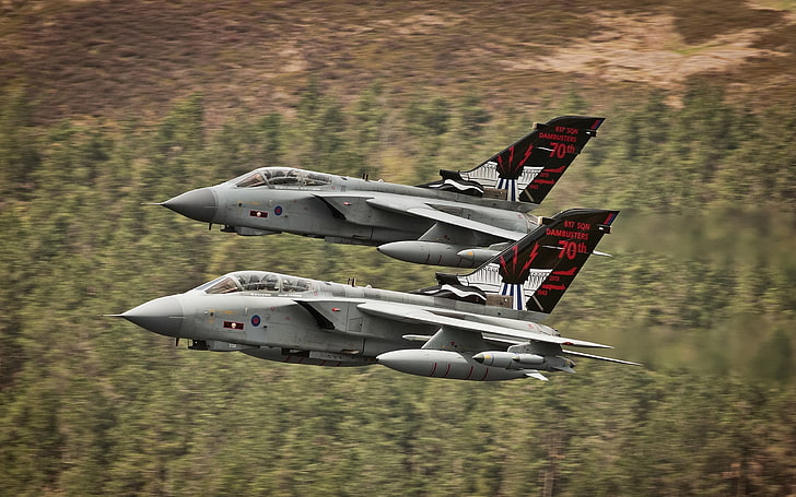 zwei graue Kampfflugzeuge, Panavia Tornado, Düsenjäger, Flugzeug, Flugzeuge, Militär, Militärflugzeuge, Fahrzeug, HD-Hintergrundbild