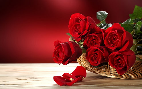 新鮮な赤いバラ、赤いバラの花束、バラ、赤いバラ、 HDデスクトップの壁紙 HD wallpaper