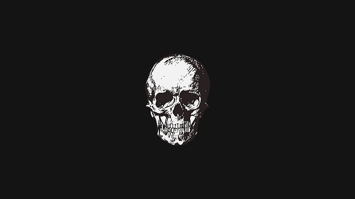 simple, skull, minimalism, sake, Black background, HD wallpaper