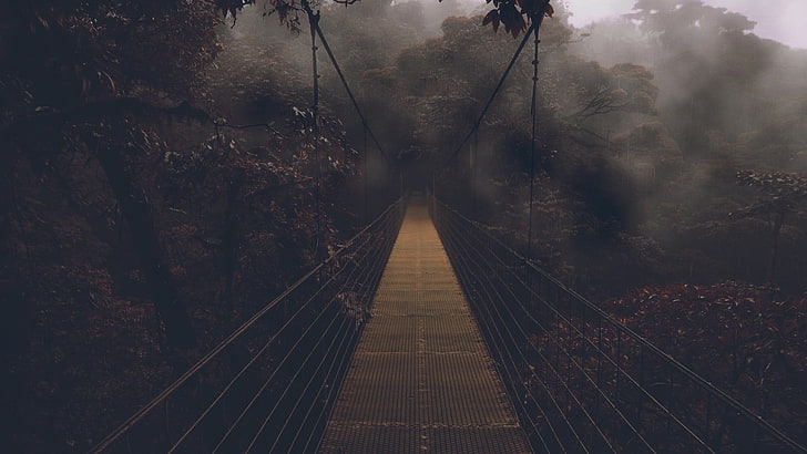 коричневый мост, мост, лес, пейзаж, HD обои