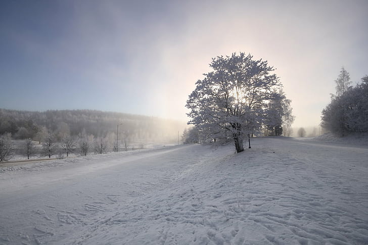 заснежено дърво, зима, блясък, сняг, покрито, дърво, Финландия, Европа, Скандинавия, северна, скандинавска, фотография, на открито, пейзаж, сцена, сценарий, композиция, студ, слънце, слънчева светлина, лед, слана, Canon EOS 1000D , Сигма, 20 мм, естествено, природа, светлина, осветление, цифрово, мъгла, мъгла, мъгла, отблясъци, гора, дървета, север, Суоми, Пътуване, Планета, снимка, ден, снимка, най-доброто от, мистично, атмосфера, настроение, атмосфера, студ - Температура, сезон, на открито, бяло, време, извънградска сцена, замразени, живописни, селски сцени, HD тапет