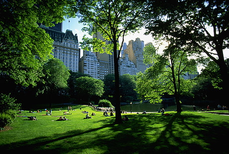 Menschen im Park in der Nähe von Hochhäusern tagsüber, Architektur, Central Park, New York City, Menschen, Bäume, Park, Sonnenlicht, HD-Hintergrundbild HD wallpaper