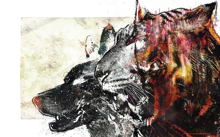 붉은 호랑이, 늑대, 호랑이, 그림, 흰색, 빨간색의 그림, HD 배경 화면
