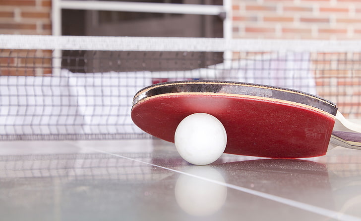 ball, beneath, paddle, pingpong, red, table, tennis, white, HD wallpaper