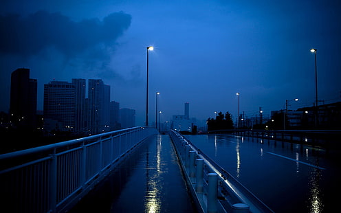 улични светлини много, улица, дъжд, нощ, мокра улица, градски пейзаж, син, град, HD тапет HD wallpaper