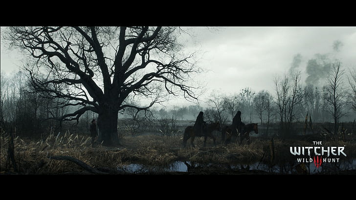 The Witcher, The Witcher 3: Wild Hunt, Fond d'écran HD