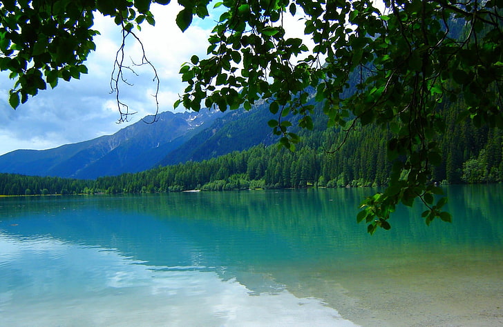 vattensamling och träd, natur, landskap, sjö, skog, löv, berg, Tyrolen, Italien, vatten, grön, träd, sommar, HD tapet