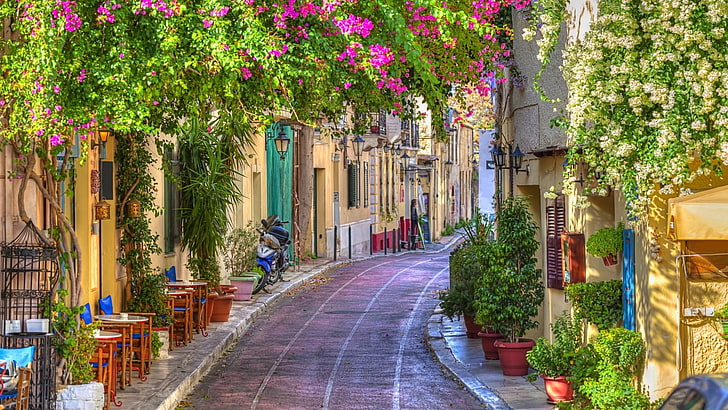 紫と白のブーゲンビリアの花、都市、アテネ、建築、ギリシャ、家、通り、 HDデスクトップの壁紙