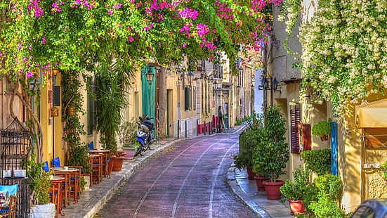 flores roxas e brancas buganvílias, cidades, Atenas, arquitetura, Grécia, casa, rua, HD papel de parede HD wallpaper