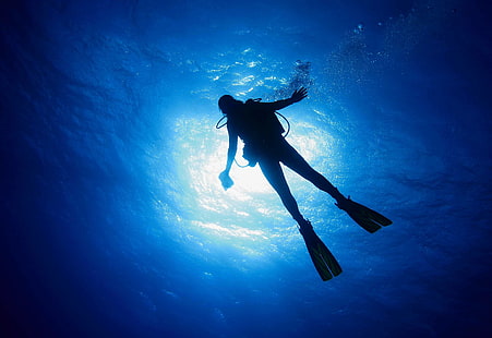 nurek, nurkowanie, ocean, nurkowanie, morze, pod wodą, Tapety HD HD wallpaper