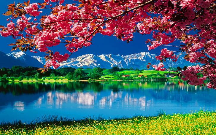 Nature Wallpaper Daydreaming 3498 2560 × 1600, HD tapet