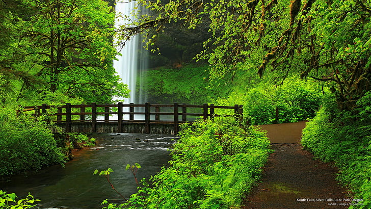 South Falls, Silver Falls State Park, Oregon., Cascate, Sfondo HD