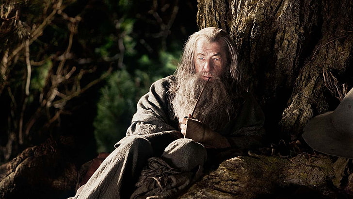 Gandalf, Ian McKellen, czarodziej, Hobbit: Niezwykła podróż, Hobbit, Tapety HD
