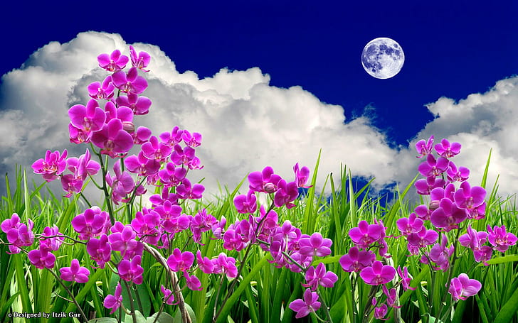 Flowers Field In The Moon, colourful, field, moon, flowers, 3d and abstract, HD wallpaper