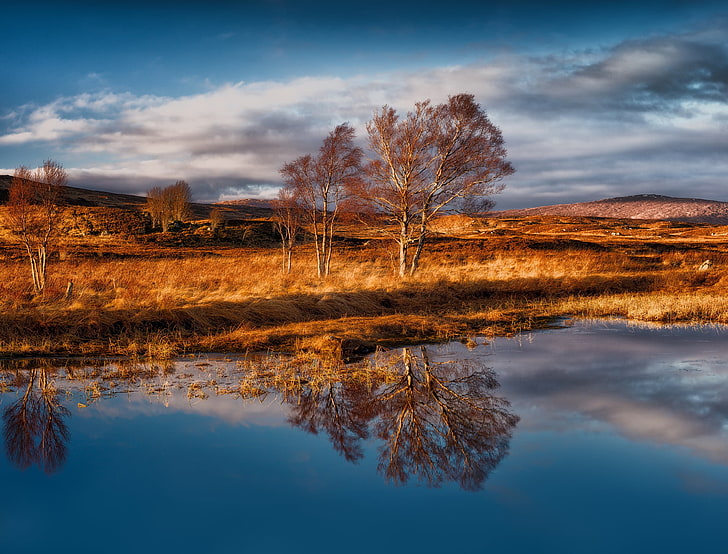 mehrere braunblättrige Bäume, Reflexion, blau, Wasser, Bäume, Landschaft, Schottland, Natur, HD-Hintergrundbild