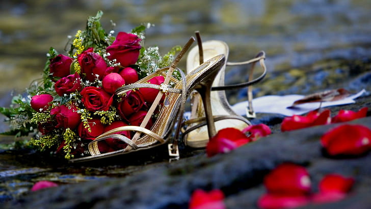 High Heels & Roses, nature, roses, heels, beauty, nature and landscapes, HD wallpaper