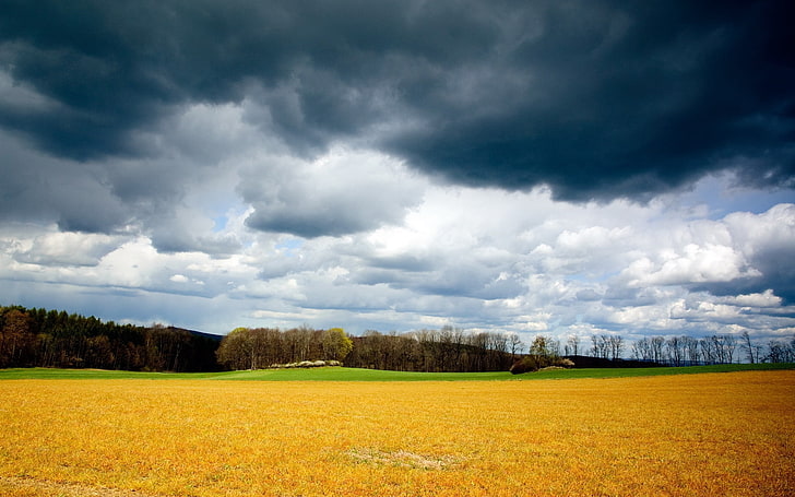 brown grass field, clouds, field, sky, gray, gloomy, storm, summer, august, grass mown, yellow, HD wallpaper