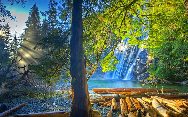 Virgin Falls, Tennessee, Estados Unidos, Virgin Falls, Tennessee, roca, cascada, madera, árboles, un registro, luces de sol, Fondo de pantalla HD