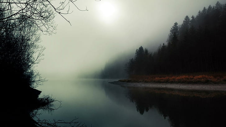 Haunting Foggy River, forest, reflection, river, nature and landscapes, HD wallpaper