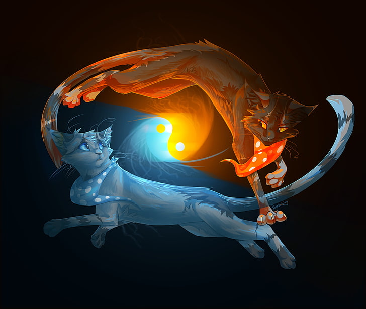 blue and red cat Yin Yang illustration, animals, water, fire, cats, black background, Yin-Yang, HD wallpaper