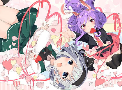 Anime, Touhou, Reisen Udongein Inaba, Youmu Konpaku, HD-Hintergrundbild HD wallpaper