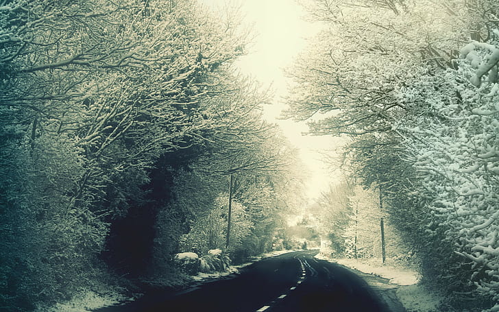 musim dingin, jalan, es, salju, pohon, es, Wallpaper HD