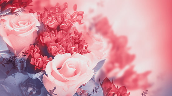 Rosa blommor, ros, kronblad, knoppar, rosa, blommor, ros, kronblad, knoppar, HD tapet HD wallpaper