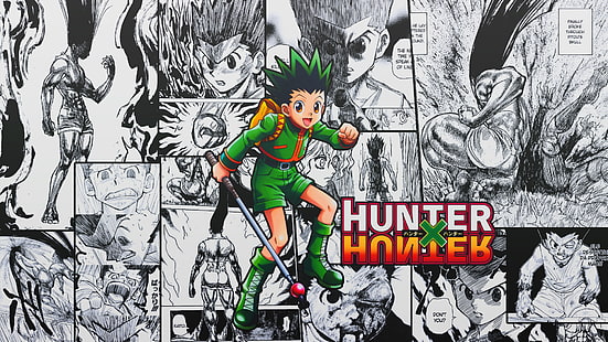 Hunter x Hunter, anime, Gon Freecss, Tapety HD HD wallpaper