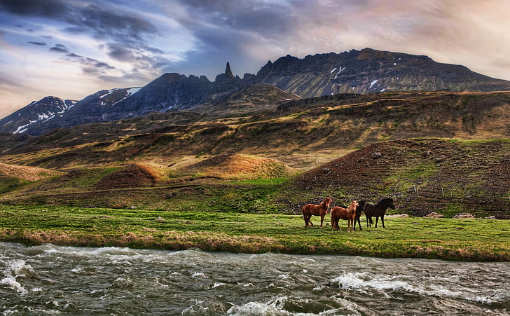 Пейзаж в Исландия, черни и кафяви коне, животни, коне, река, планини, облаци, хълмове, Исландия, HD тапет
