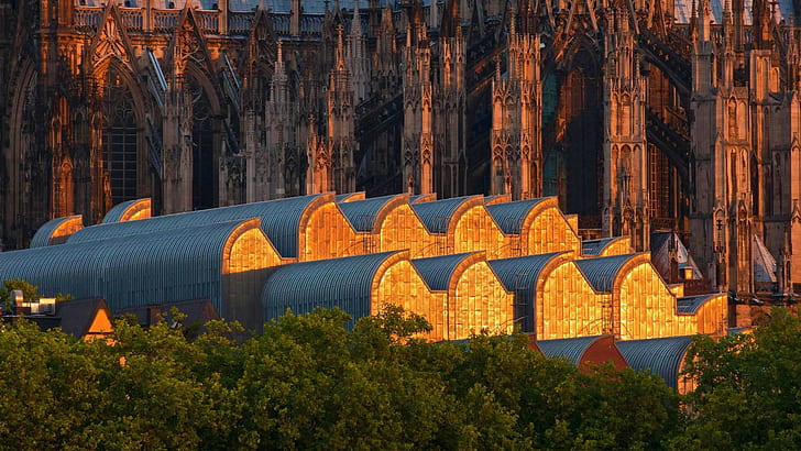 mimari, bina, Şehir, Cityscape, Köln, Köln Katedrali, katedral, Almanya, müze, Ağaçlar, Gotik mimari, Çatıları, Güneş ışığı, HD masaüstü duvar kağıdı