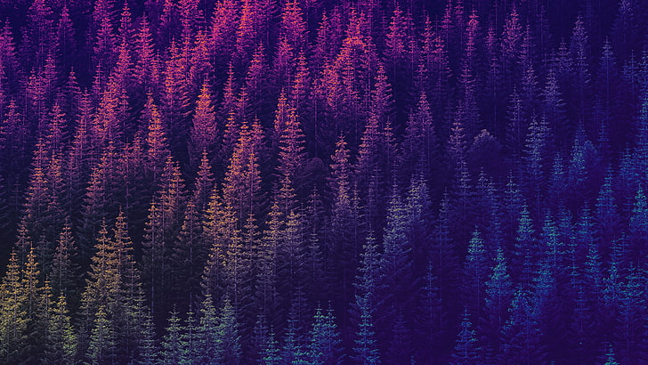 blaues und rotes Blumentextil, psychedelisch, trippy, Bäume, Wald, HD-Hintergrundbild