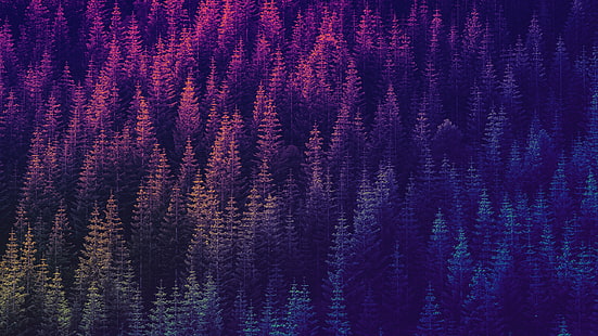 textile floral bleu et rouge, psychédélique, trippy, arbres, forêt, Fond d'écran HD HD wallpaper