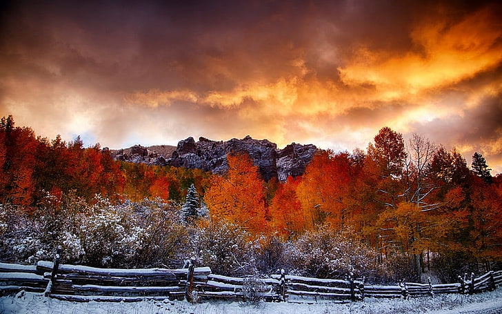 оранжевые и желтые лиственные деревья под облачным небом, природа, осень, снег, пейзаж, забор, лес, облака, деревья, холмы, HD обои